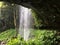 Crystal Falls in Australia`s World Heritage Dorrigo Rainforest