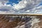 Crystal Forest - Petrified Forest National Park