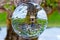 Crystal Glass Ball Sphere reveals Fairy House in front of Apple Tree