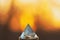 Crystal glass pyramid on a background of a sunset blurred sun and sky for relaxation meditation and divination