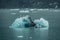 Crystal iceberg in front of Columbia glacier under the rain