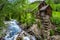 Crystal Mill in Marble, Colorado