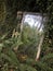 A crystal mirror with reflections of white rusty iron and trees in the park