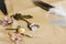 Crystal necklace, feather, and dried flowers on craft background