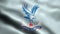 Crystal Palace Flag video waving in wind Crystal Palace Flag Wave Loop waving i