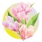 Crystal Pink flowers with Polygon green leaves