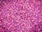 The crystal of pink silica gel expired and turn color from blue to pink or purple range, use for remove water or moisture.