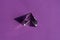 Crystal prism refracting light, magic crystals and pyramid, sphere and cube on purple background. Spiritual healing