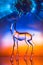 Crystal reindeer statuette in front of colorful Aurora