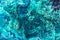 Crystal stone. Beautiful natural turquoise background. Macro. Ex