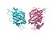 Crystal structure of angiopoietin-1 fibrinogen-related domain. Ribbons diagram with differently colored protein chains