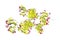 Crystal structure of canakinumab, a human monoclonal antibody neutralizing interleukin-1beta. Ribbons diagram in