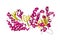 Crystal structure of human mitochondrial malonyltransferase. Ribbons diagram. 3d illustration