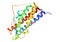 Crystal structure of human placental lactogen, 3D cartoon isolatedmodel