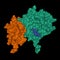 Crystal structure of SARS-CoV-2 nsp16 green-nsp10 brown-ligand ball-and-stick complex