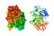 Crystal structure and space-filling molecular model of human pancreatic alpha-amylase. Rendering based on protein data