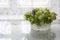 A crystal vase with forest flowers on a background of lace curtains