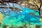 Crystal waters close to the beautiful beach of Aiguablava in Begur village, Mediterranean sea, Catalonia, Spain