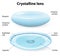 Crystalline lens anatomy