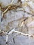 Crystalline Marble Texture