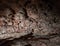 Crystals Grow on Wall of Wind Cave