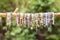 crystals mineral stone beads yoga bracelets hanging on the branch on natural green bokeh background