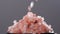 Crystals of pink Himalayan salt falling in slow motion