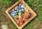 Crystals in Wooden Box : CHAKRASTONES  Polished Raw Lake Stones Gems River Water Rocks Pink Nails