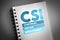 CSI - Continual Service Improvement acronym