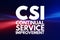 CSI - Continual Service Improvement acronym, business concept background