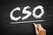 CSO Chief Strategy Officer - executive has primary responsibility for strategy formulation and management, including developing