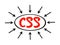 CSS Cascading Style Sheets - language used for describing the presentation of a document written in a markup language, acronym