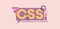 CSS cascading style sheets. Programming and coding technologies development of online applications.
