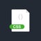 Css file icon. Cascading Style Sheets flat icon. Vector