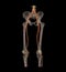 CT SCAN 2D and 3D rendering of lower extremity.