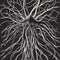 A Cthulhu inspired neuron tree branching white against black