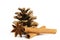 Ctwo cinnamon sticks star anise and conifer cone