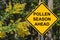 Cuation - Pollen Season Ahead