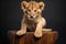 a cub lion playfully sitting on a mini wooden throne