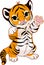 cub tiger pictures