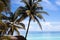 Cuba beach with palms and blue sky