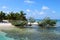 Cuba: Cayo Coco Island Beach and magroove trees