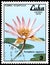 CUBA - CIRCA 1979: A stamp, printed in Cuba, shows a Nymphaea capensis, series water lilies