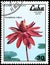 CUBA - CIRCA 1979: A stamp, printed in Cuba, shows a Nymphaea rubra, series water lilies