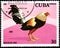CUBA - CIRCA 1981: A stamp printed by Cuba shows the Giro