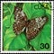 CUBA - CIRCA 1982: Postage stamp printed by Cuba shows butterfly Hamadryas ferox diasia