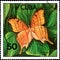 CUBA - CIRCA 1982: Postage stamp printed by Cuba shows butterfly Marpesia eleuchea