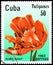 CUBA - CIRCA 1982: postage stamp printed in Cuba shows a tulip Orange Parrot