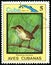CUBA - CIRCA 1983: stamp 5 Cuban centavos printed by Republic of Cuba, shows bird Zapata Wren Ferminia cerverai, bird fauna,