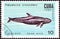 CUBA - CIRCA 1984: A stamp printed in Cuba from the `Whales and Dolphins` issue shows False killer whale, circa 1984.